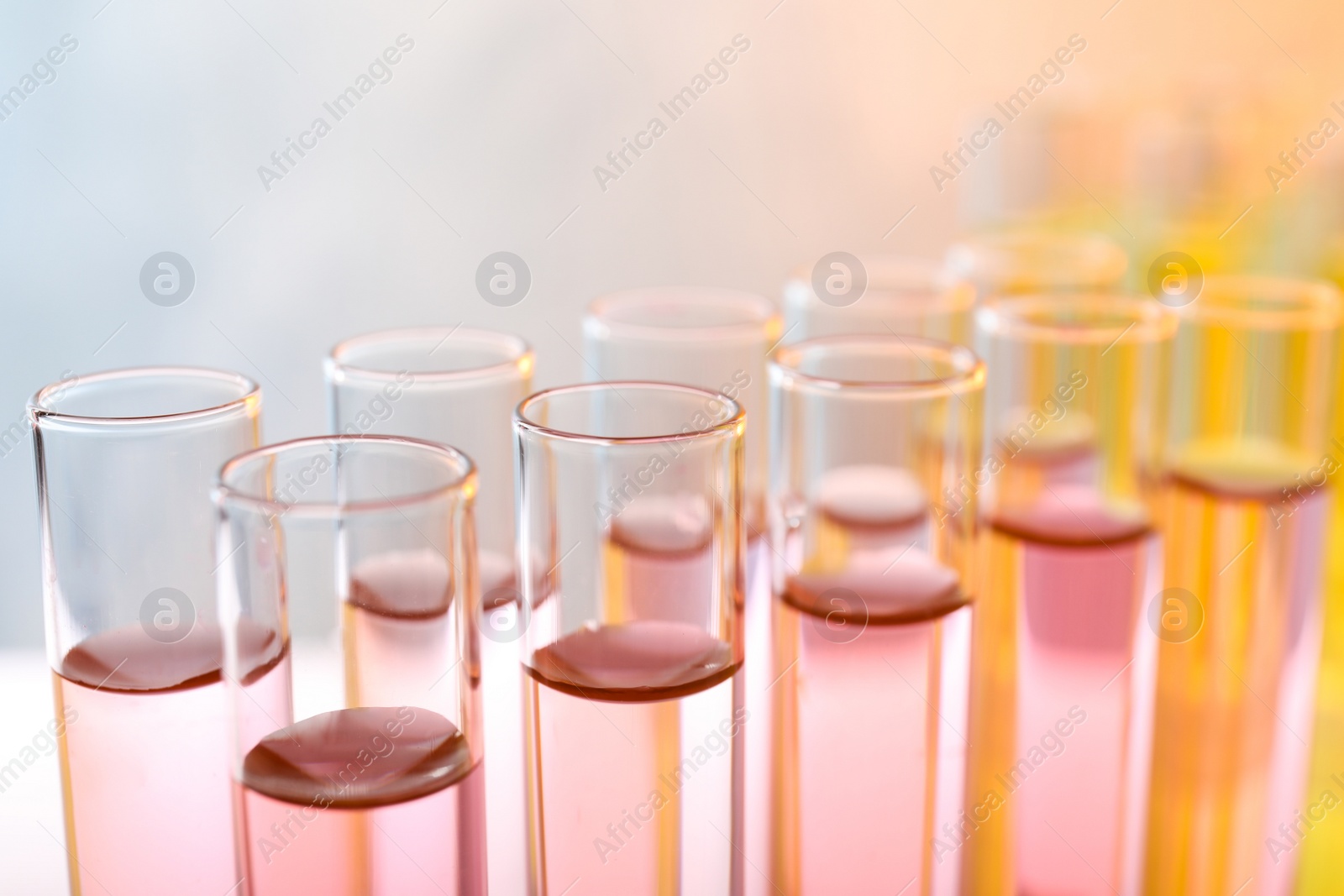 Photo of Closeup view of many test tubes with liquid, color tone effect