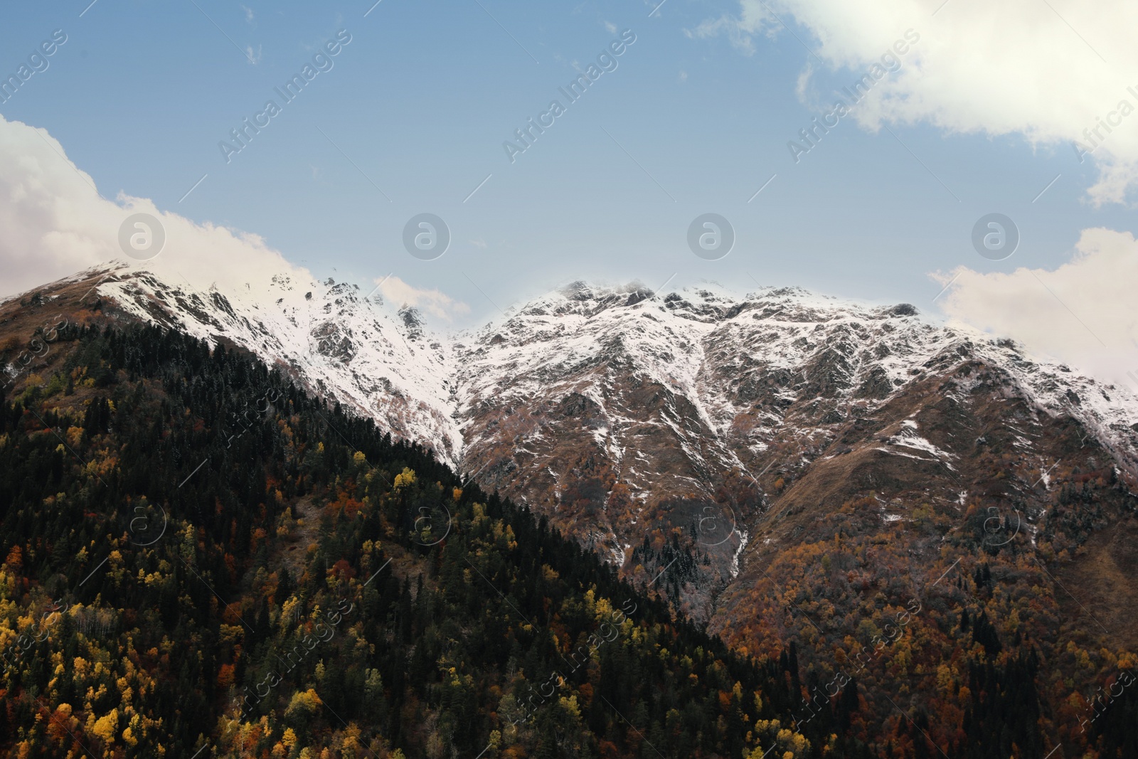 Photo of Picturesque landscape of high mountains with forest under cloudy sky