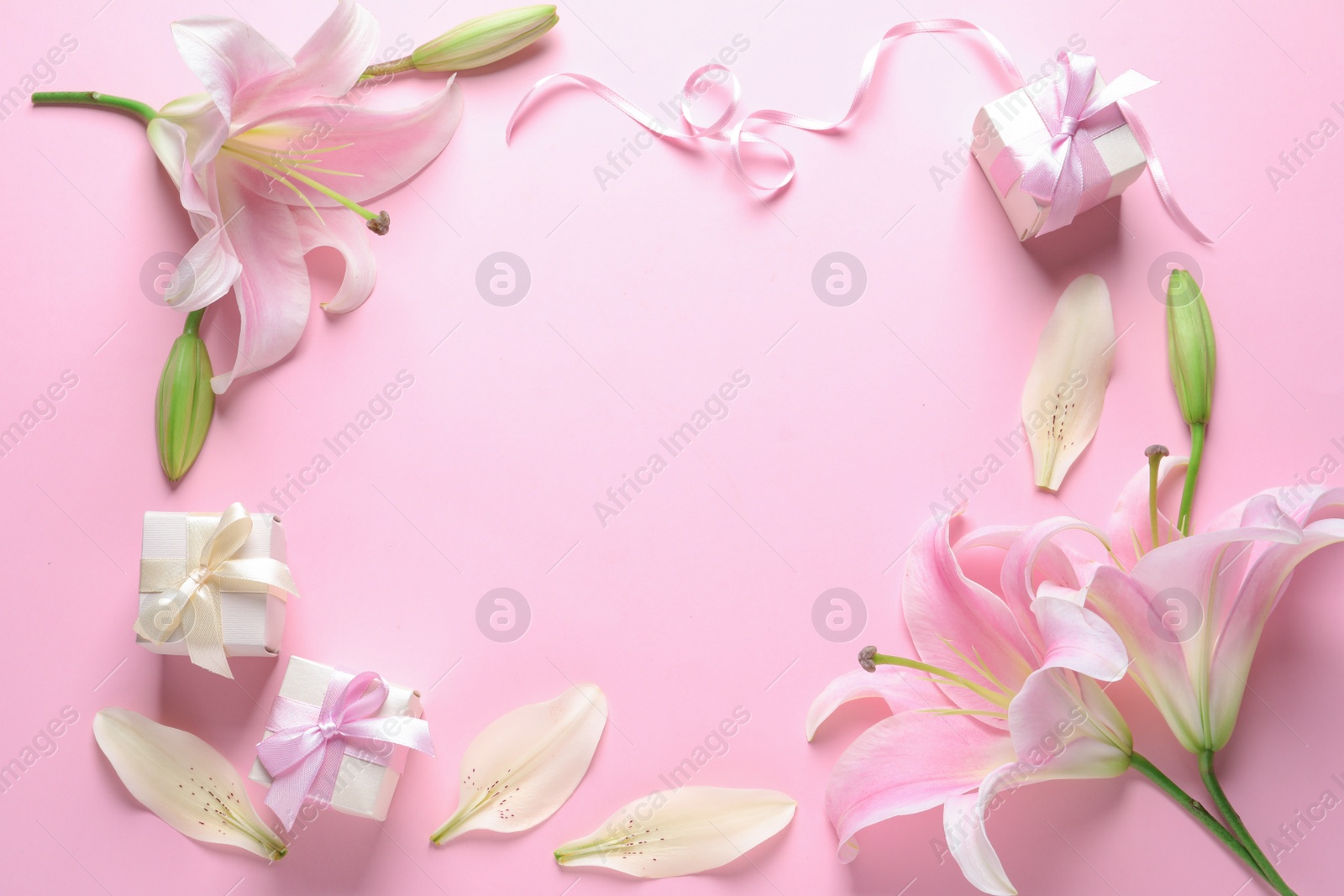 Photo of Frame made of fresh lilies and gift boxes on pink background, flat lay. Space for text