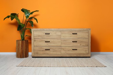 New wooden chest of drawers and beautiful plant near orange wall indoors