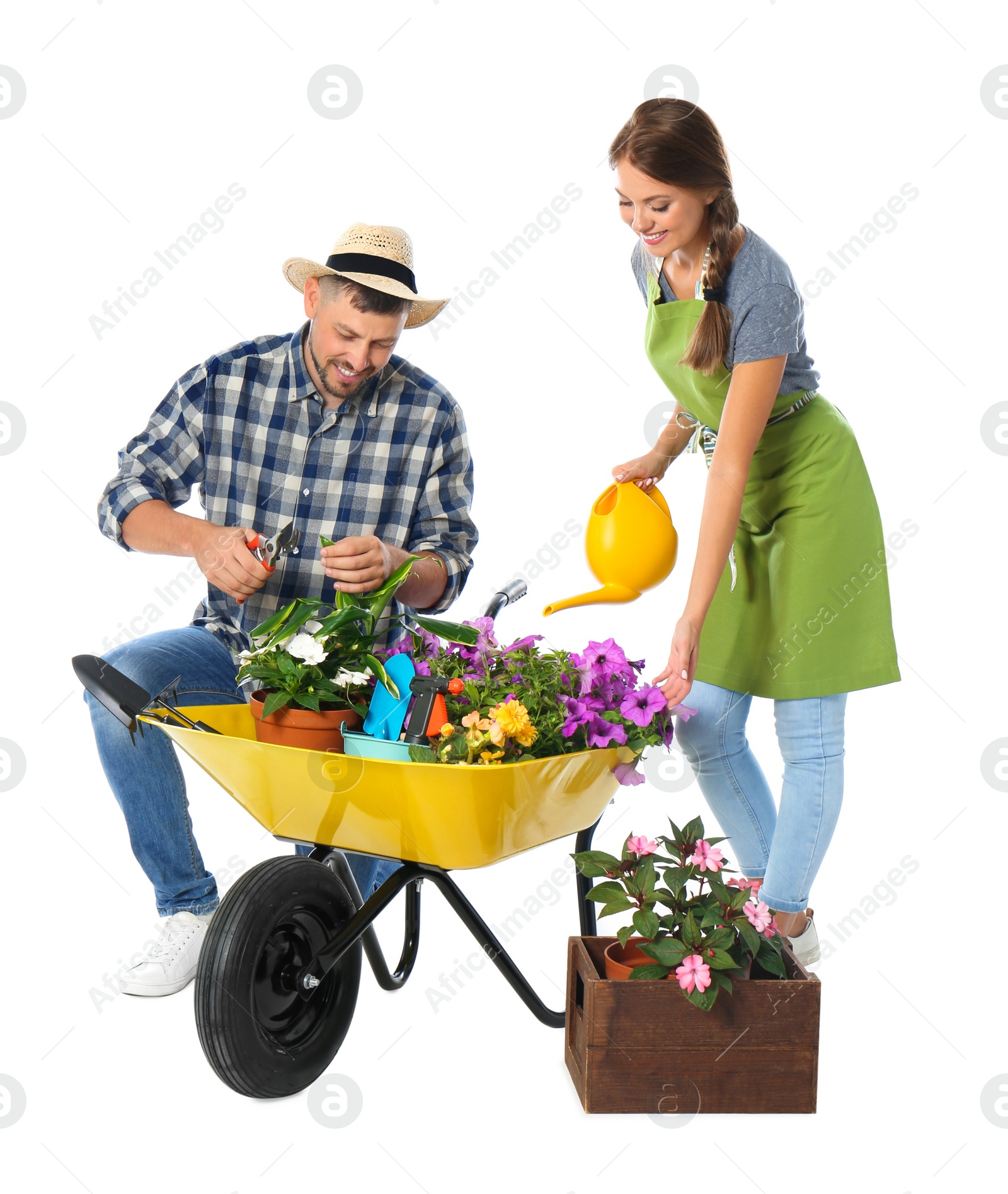 Photo of Couple of gardeners with wheelbarrow and plants on white background