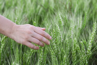 Photo of Woman in field with ripening wheat, closeup