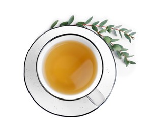 Cup of green tea with eucalyptus leaves on white background, top view