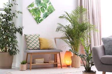 Photo of Stylish modern room interior with exotic houseplants