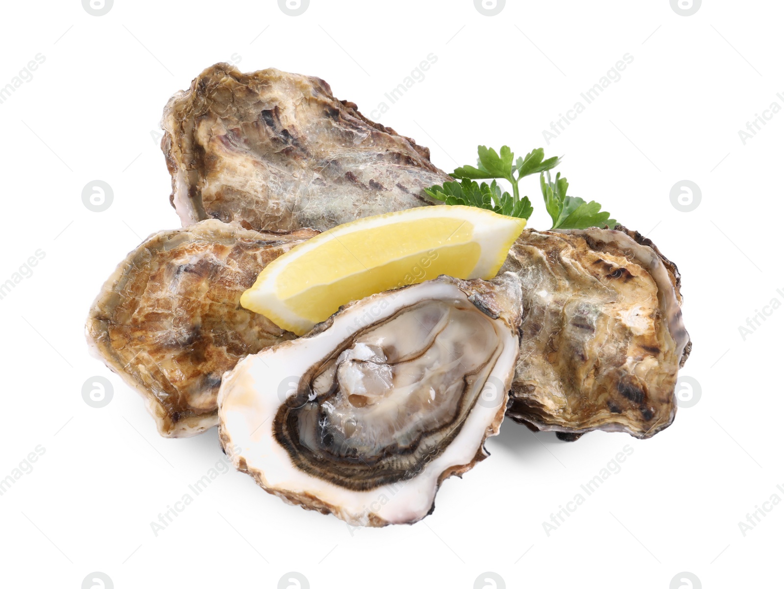 Photo of Fresh raw oysters served on white background