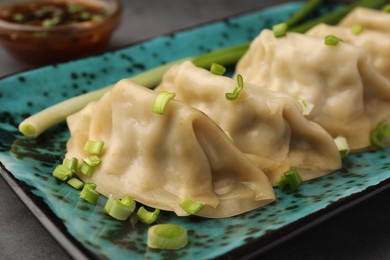 Delicious gyoza (asian dumplings) with green onions on plate, closeup