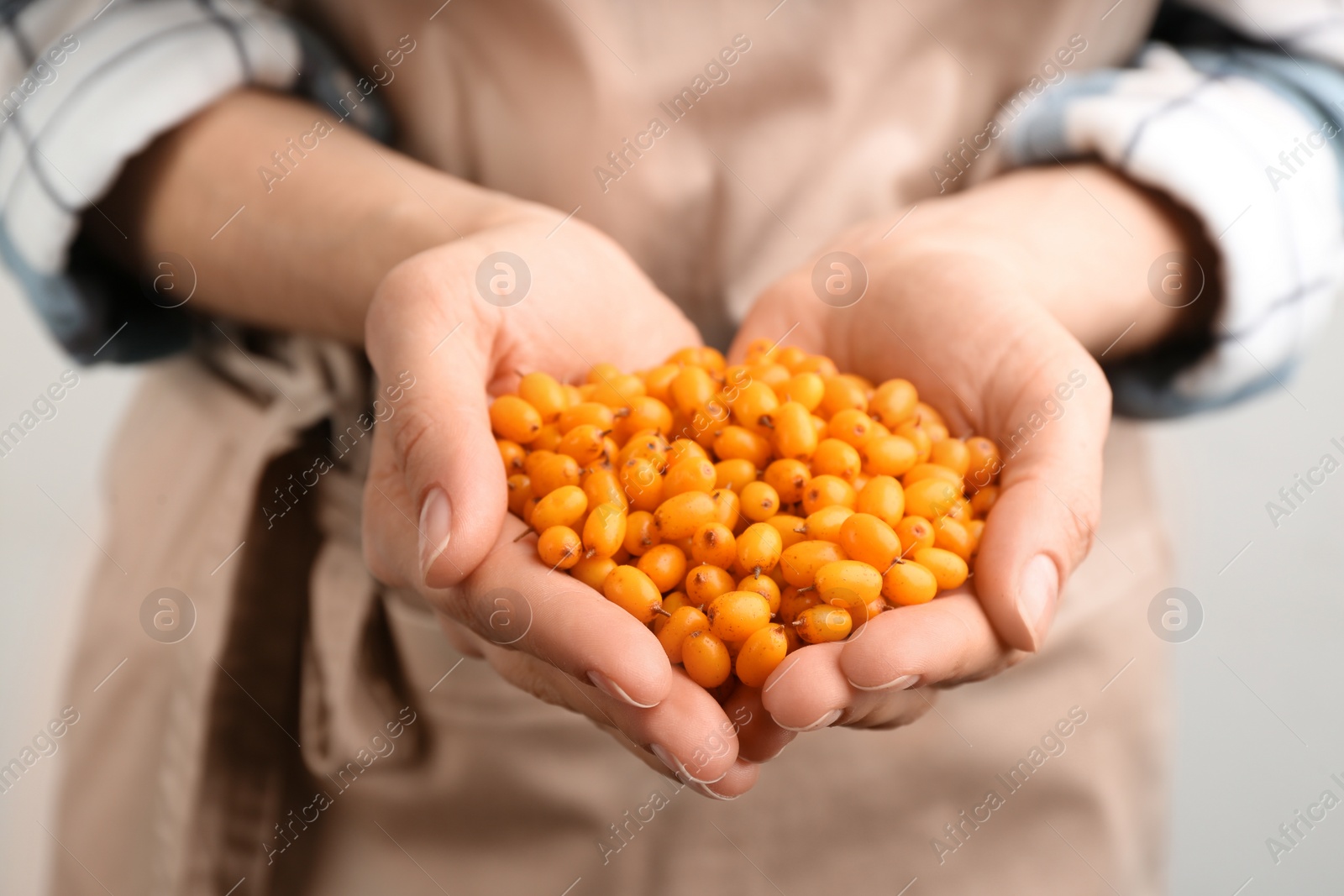 Photo of Woman holding fresh ripe sea buckthorn on light background, closeup