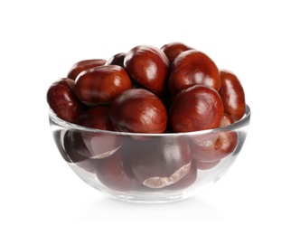 Horse chestnuts in bowl on white background