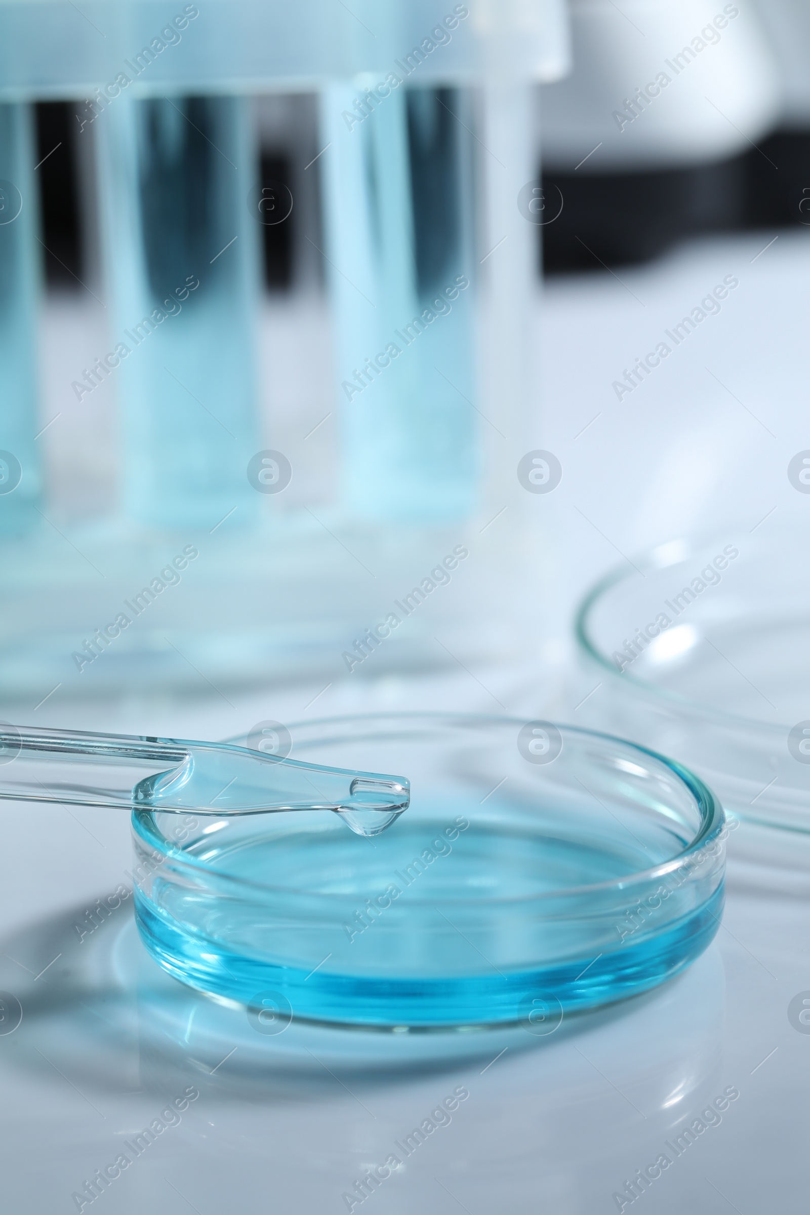 Photo of Dripping liquid from pipette into petri dish at white table, closeup