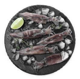 Fresh raw squids with ice, lime and thyme on white background, top view