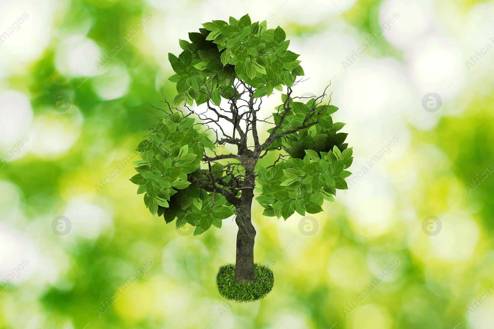 Image of Tree with green leaves in shape of recycling symbol on blurred background. Bokeh effect