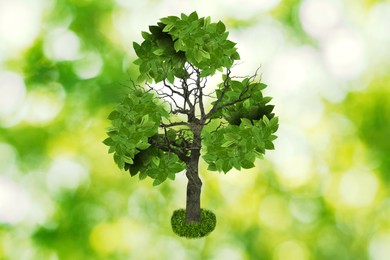 Tree with green leaves in shape of recycling symbol on blurred background. Bokeh effect