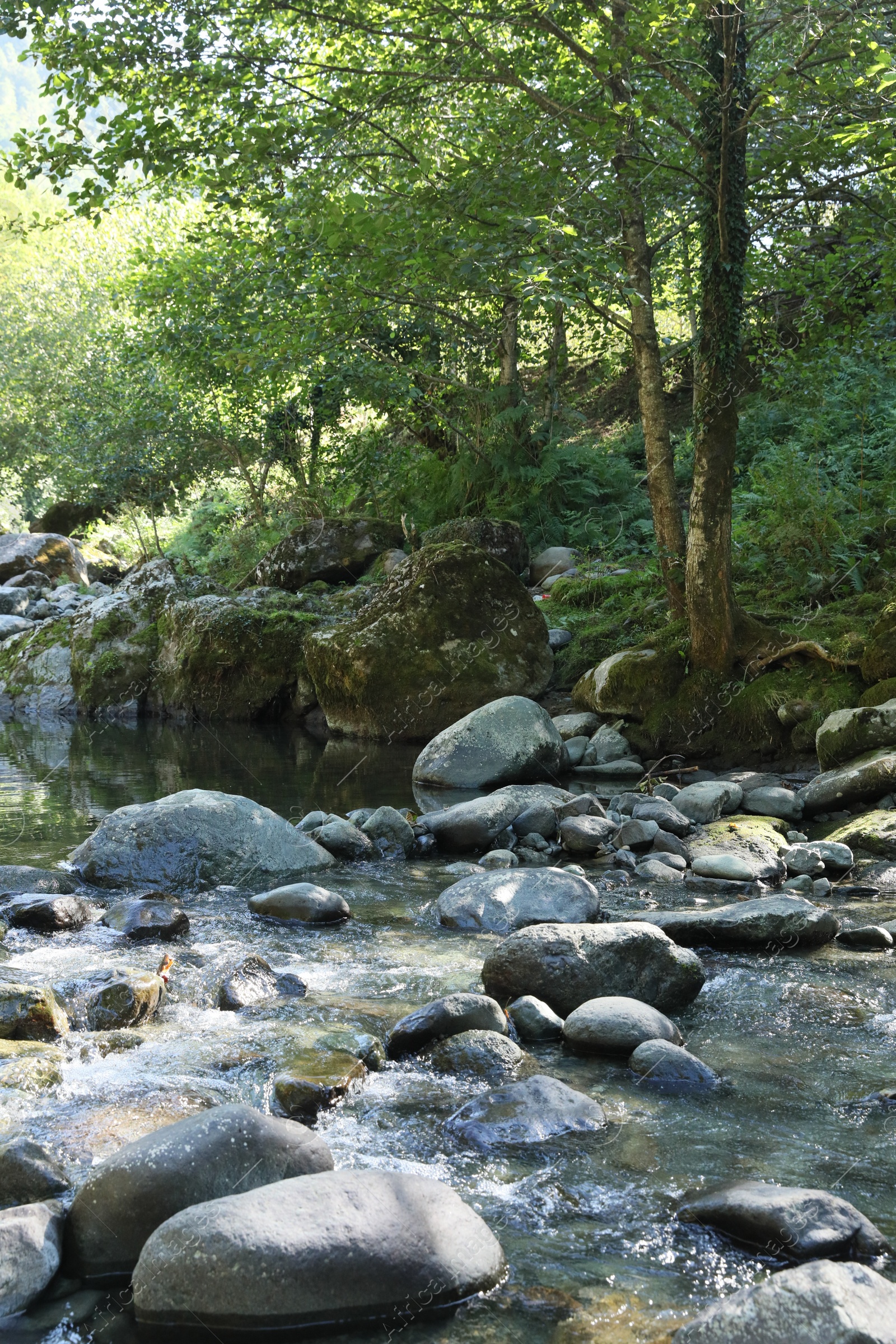 Photo of Beautiful view of river and stone coast outdoors