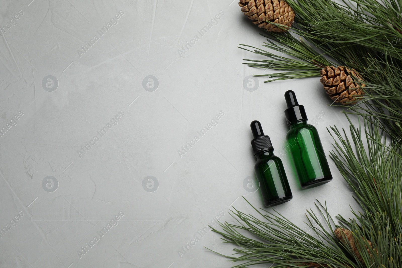 Photo of Pine essential oil, cones and branches on light grey table, flat lay. Space for text