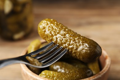 Photo of Eating tasty pickled cucumber at table, closeup