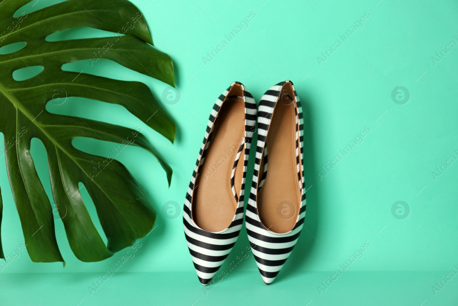 Photo of Pair of female shoes on color background