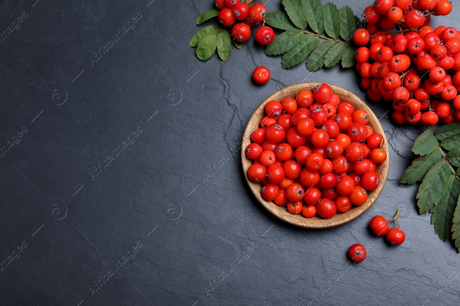 Photo of Fresh ripe rowan berries and leaves on black table, flat lay. Space for text