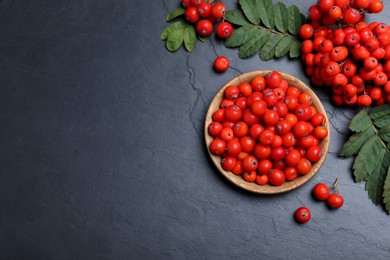 Fresh ripe rowan berries and leaves on black table, flat lay. Space for text