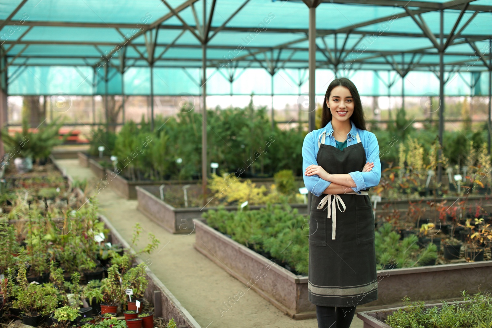 Photo of Female business owner in greenhouse. Space for text