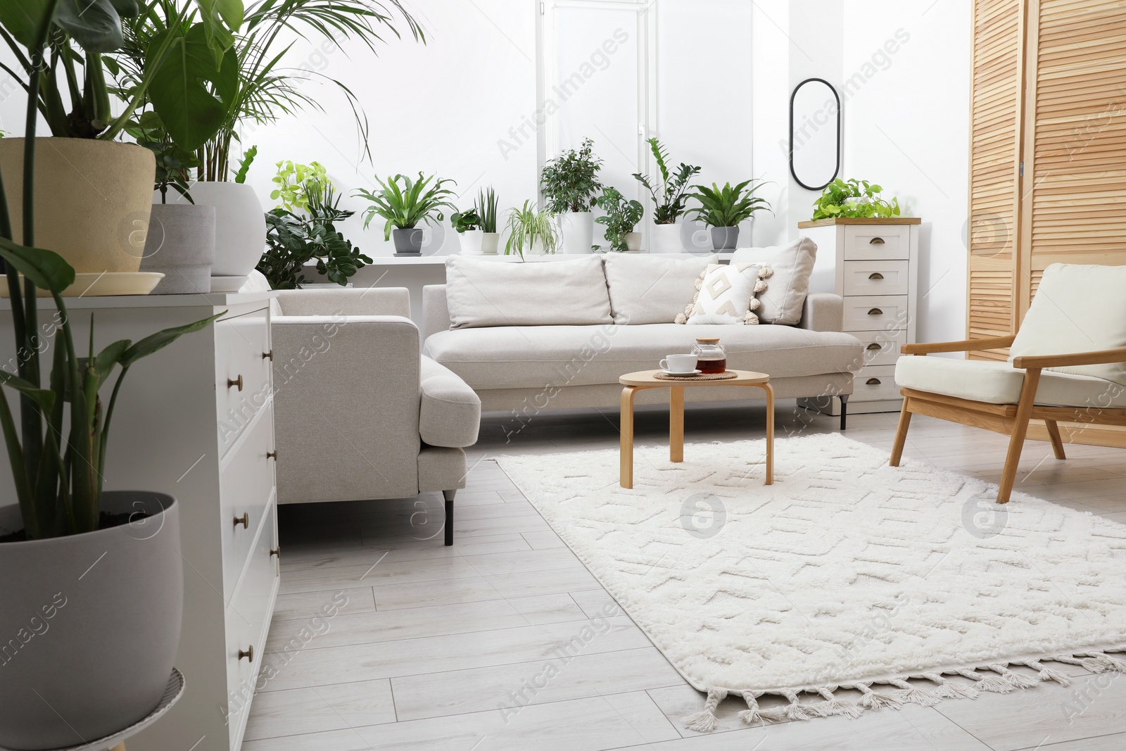 Photo of Stylish room with different potted green plants and comfortable sofa. Interior design