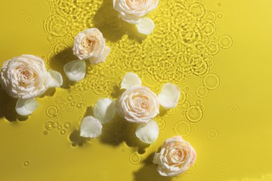 Photo of Beautiful roses in water on pale yellow background, top view. Space for text