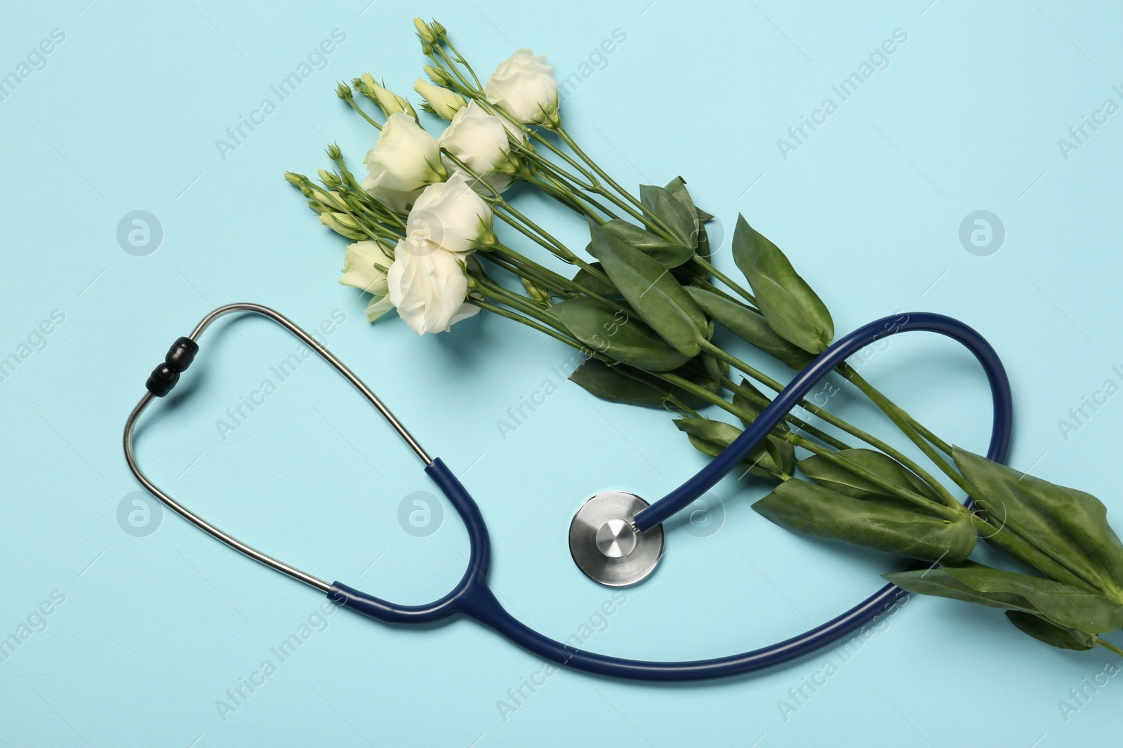 Photo of Stethoscope and beautiful eustoma flowers on light blue background, flat lay. Happy Doctor's Day