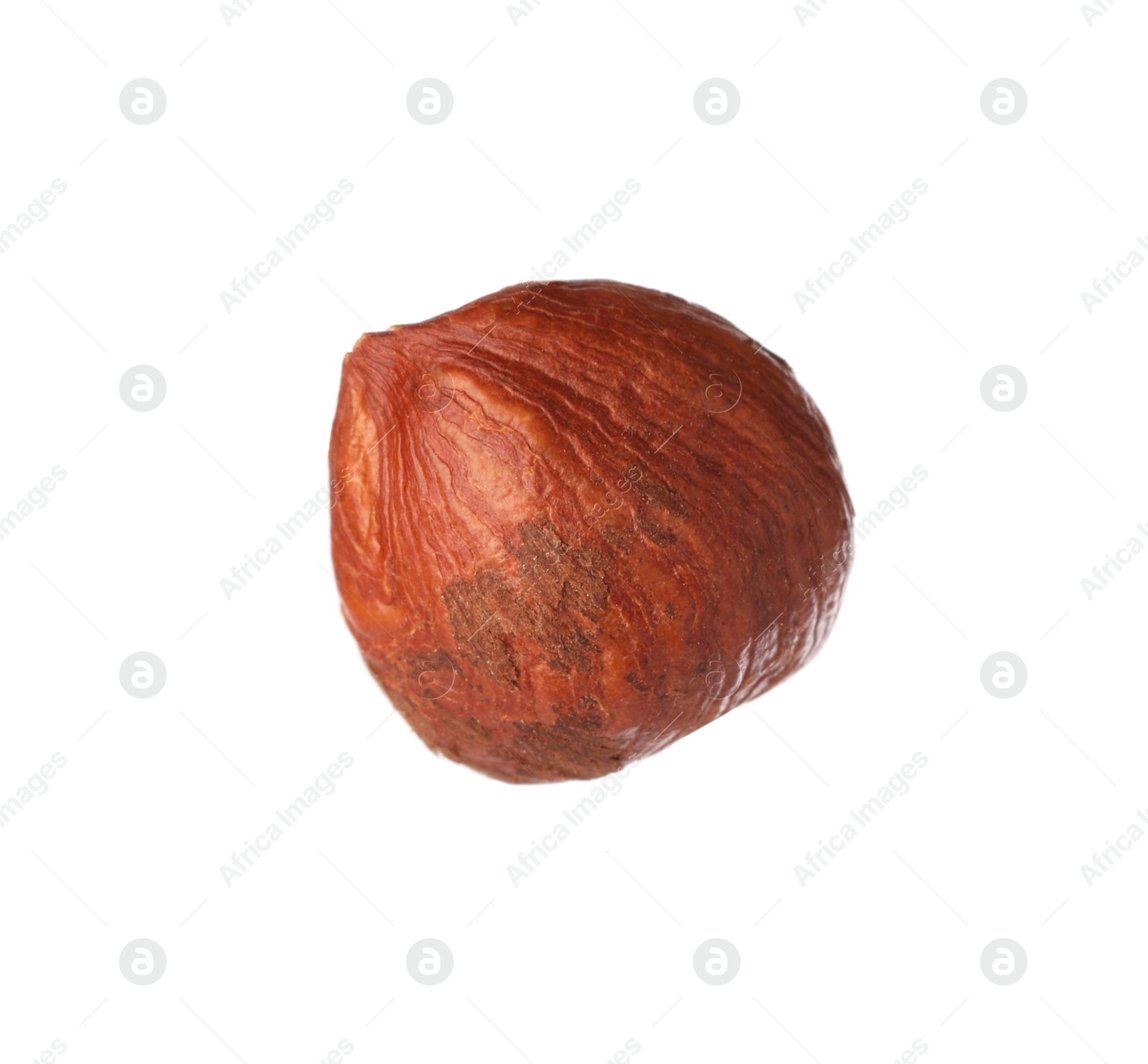 Photo of One tasty hazelnut isolated on white. Healthy snack