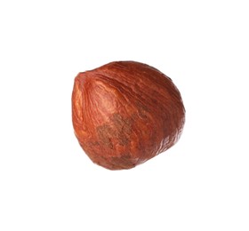 Photo of One tasty hazelnut isolated on white. Healthy snack