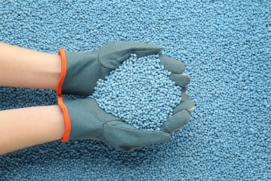 Woman holding pile of granular mineral fertilizer over grains, top view