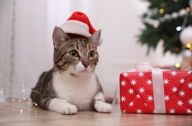 Photo of Cute cat wearing Santa hat in room decorated for Christmas
