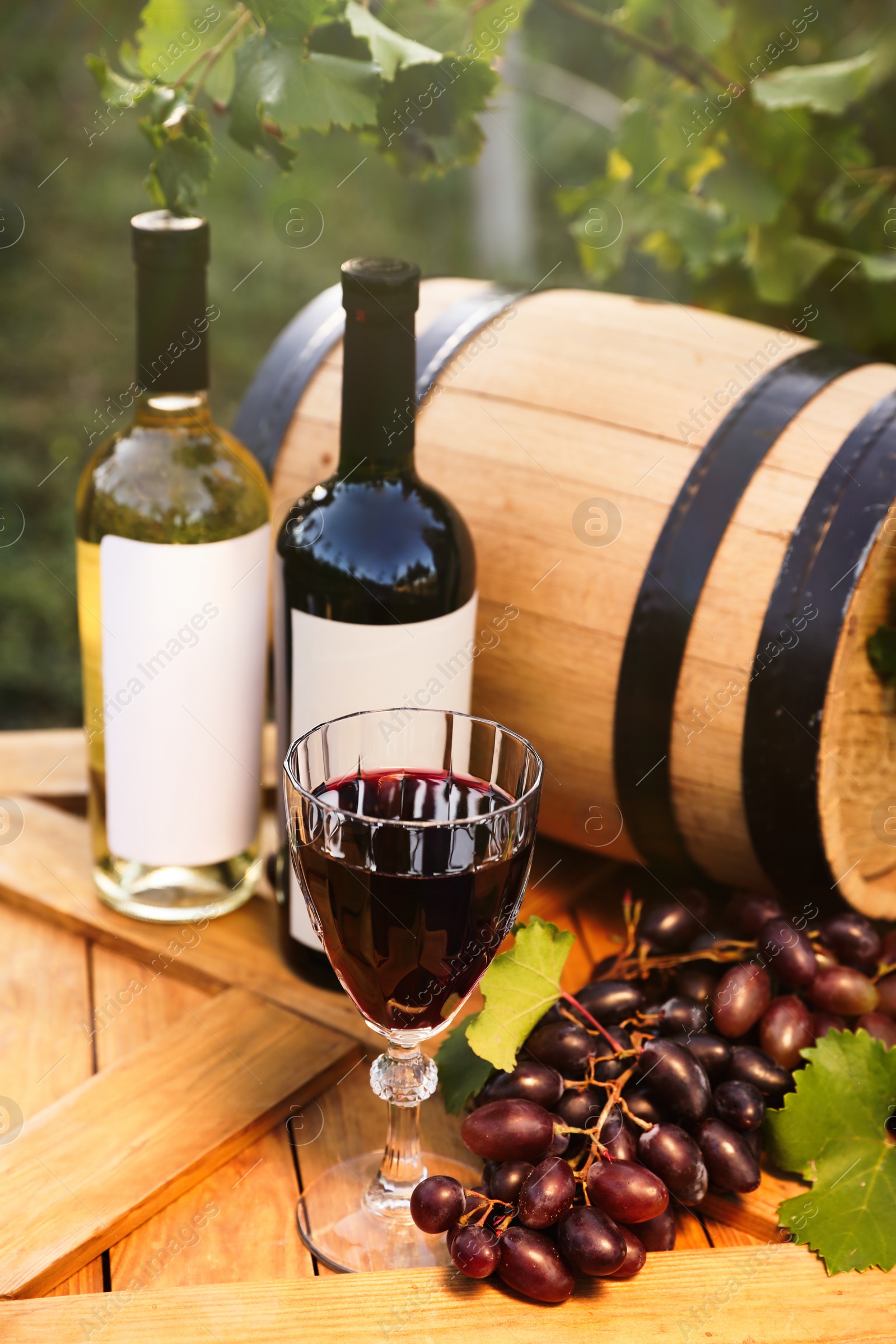 Photo of Composition with wine and ripe grapes on wooden table in vineyard