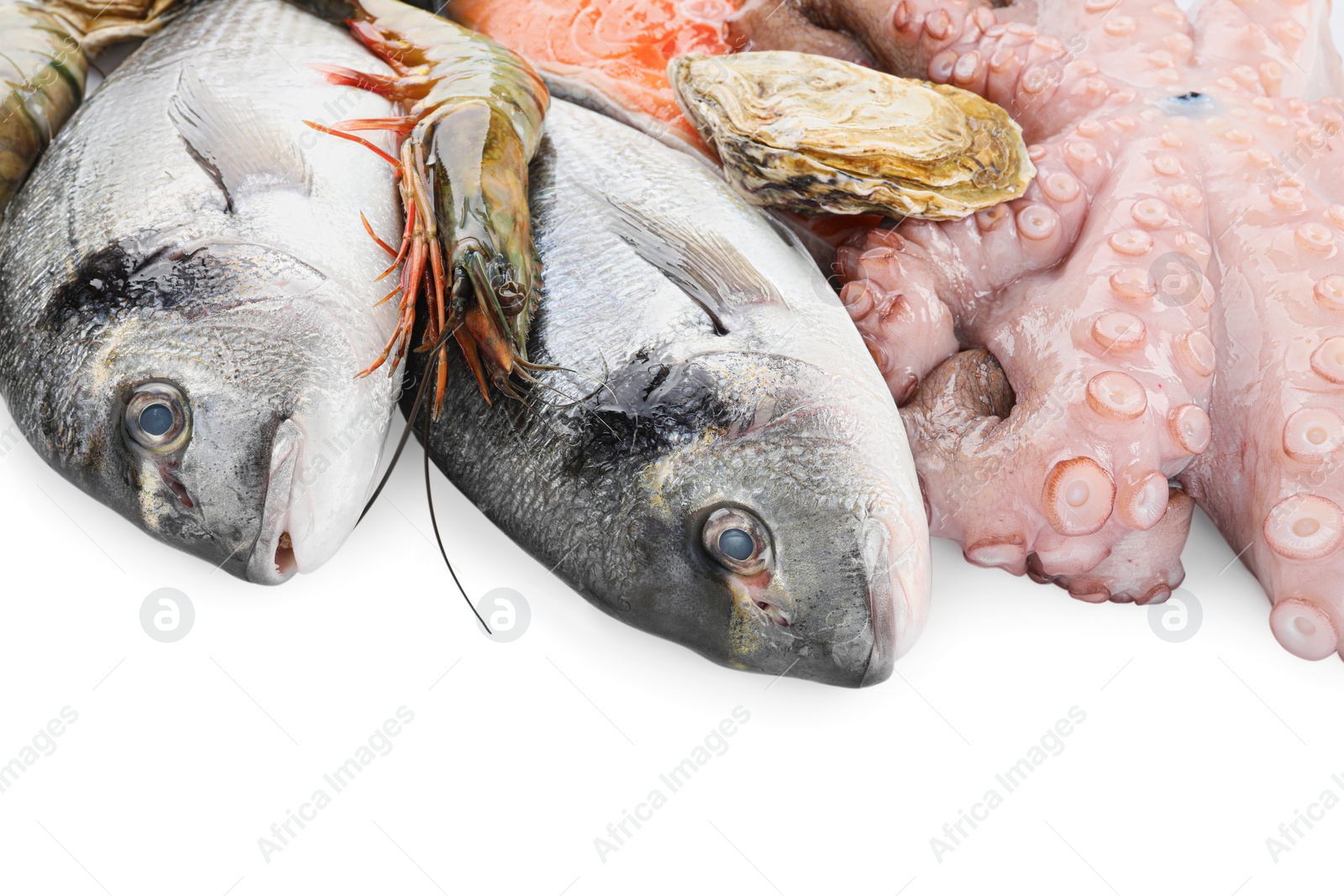 Photo of Fresh dorado fish, octopus, oyster and shrimps on white background, closeup