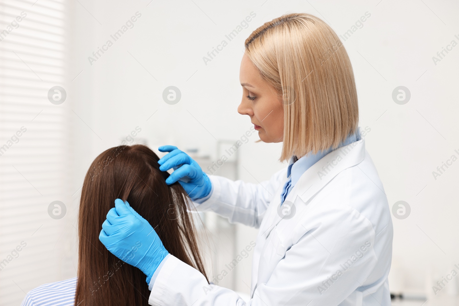 Photo of Trichologist in gloves examining patient`s hair in clinic