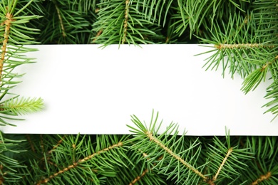 Blank card on branches of Christmas tree, top view