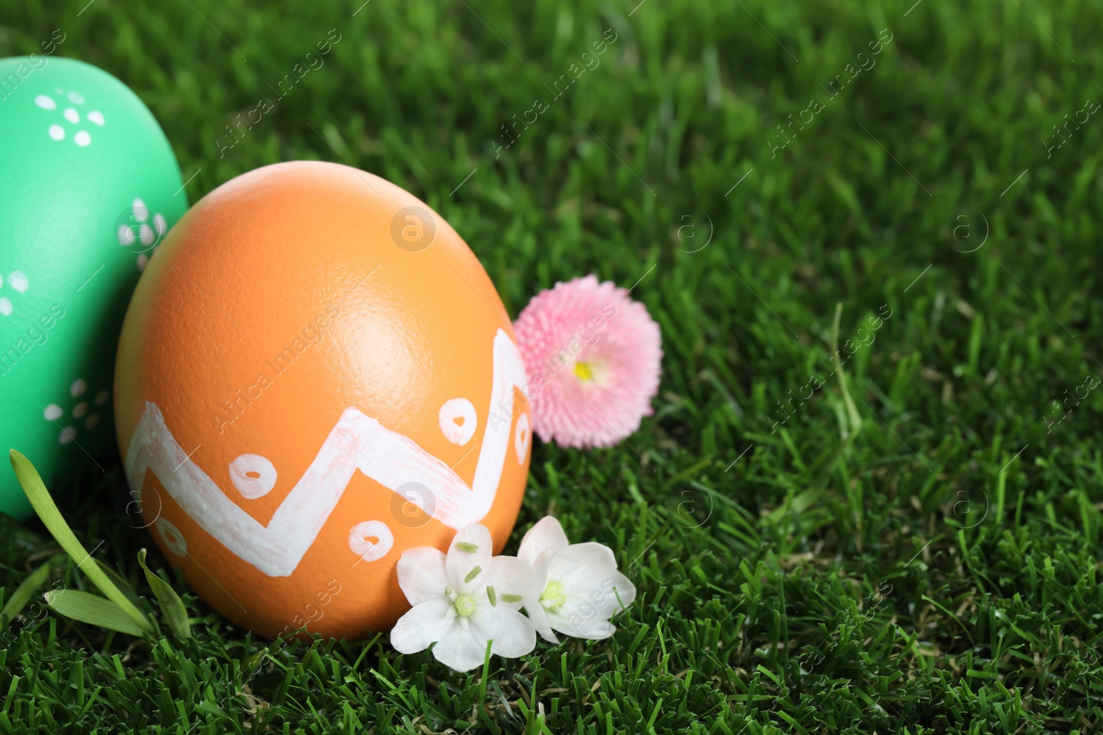 Photo of Colorful Easter eggs and flowers on green grass, closeup. Space for text