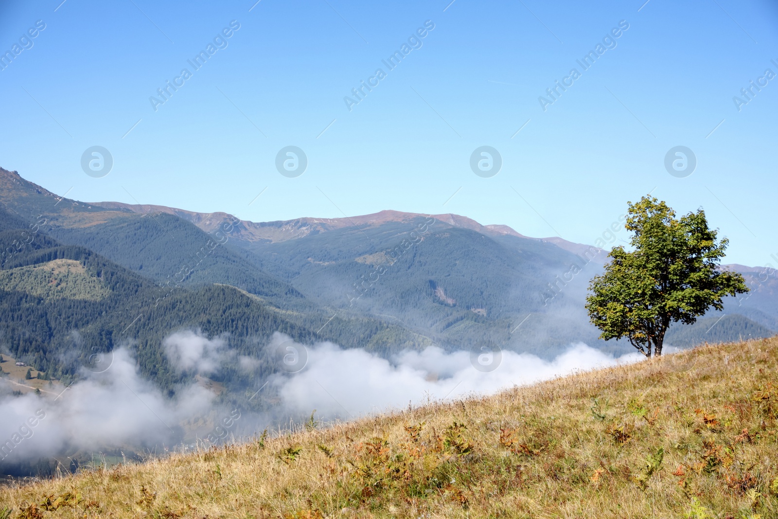 Photo of Picturesque view of foggy mountain in morning