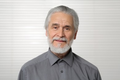 Portrait of handsome senior man on light background