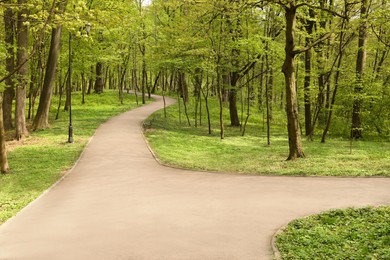 Beautiful green park on sunny spring day