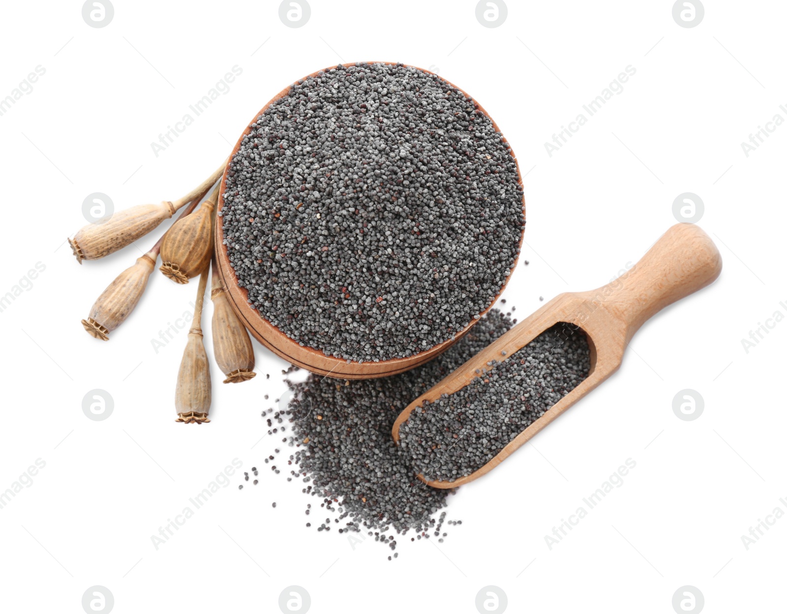 Photo of Bowl and scoop with poppy seeds on white background, top view