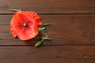 Photo of Poppy flower and leaves on wooden table, top view with space for text