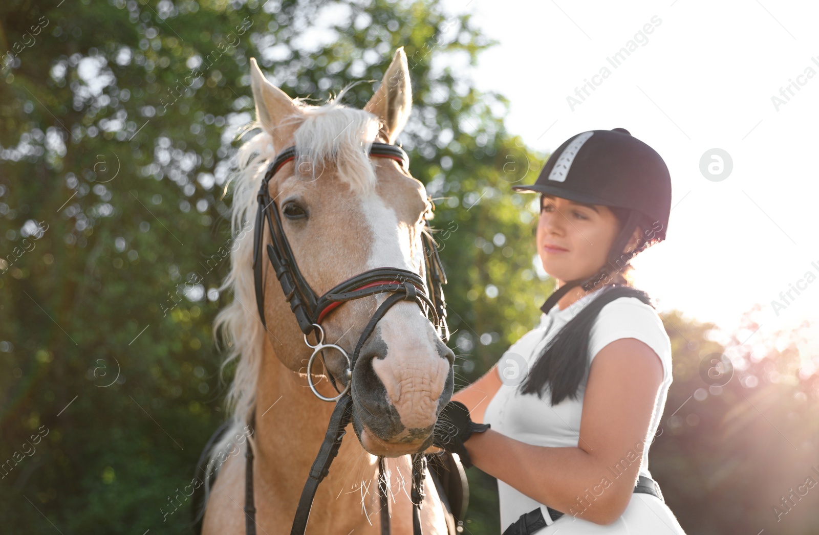 Photo of Young woman in horse riding suit and her beautiful pet outdoors on sunny day