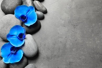 Flat lay composition with spa stones and orchid flowers on grey background. Space for text