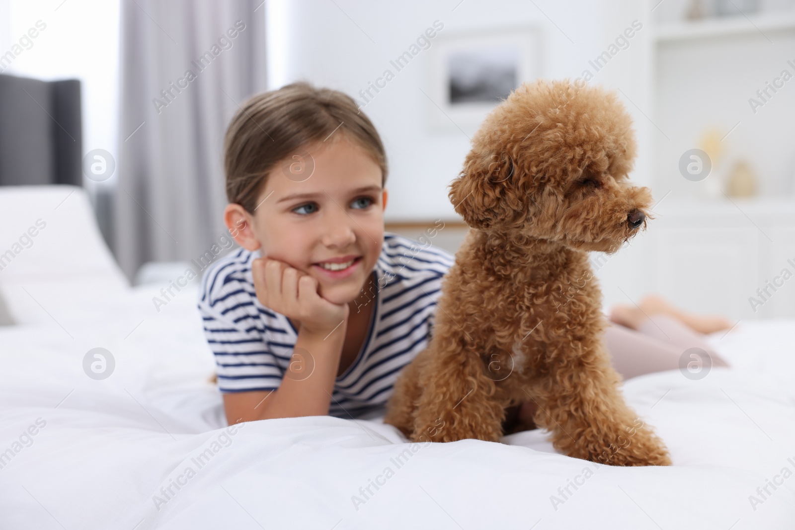 Photo of Little child and cute puppy on bed at home. Lovely pet