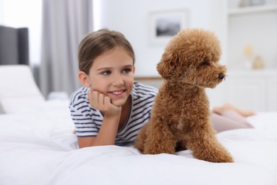 Little child and cute puppy on bed at home. Lovely pet