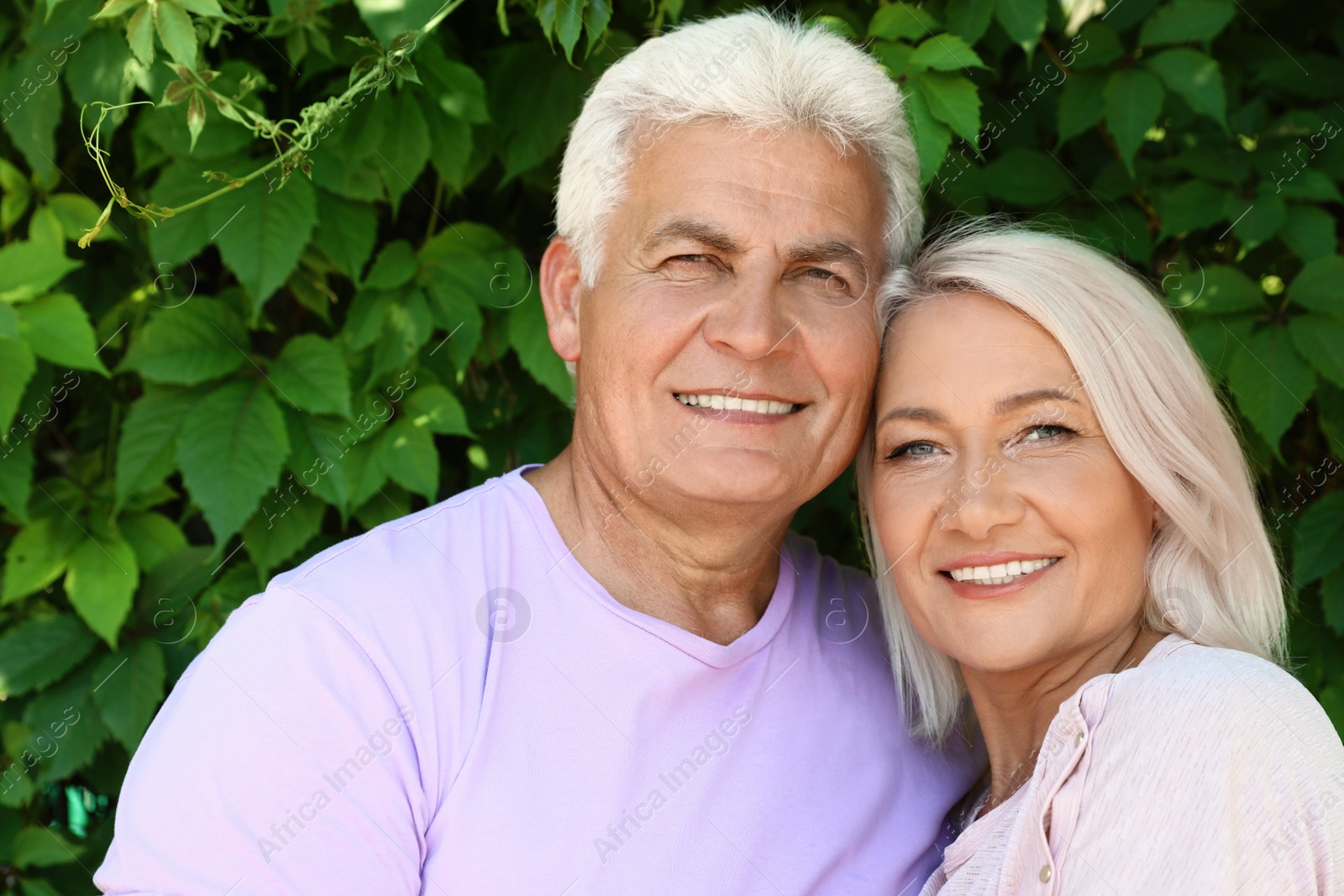 Photo of Portrait of affectionate senior couple in park