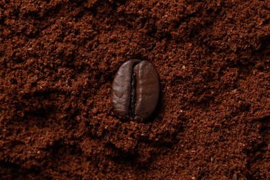 Photo of Roasted bean on ground coffee, top view