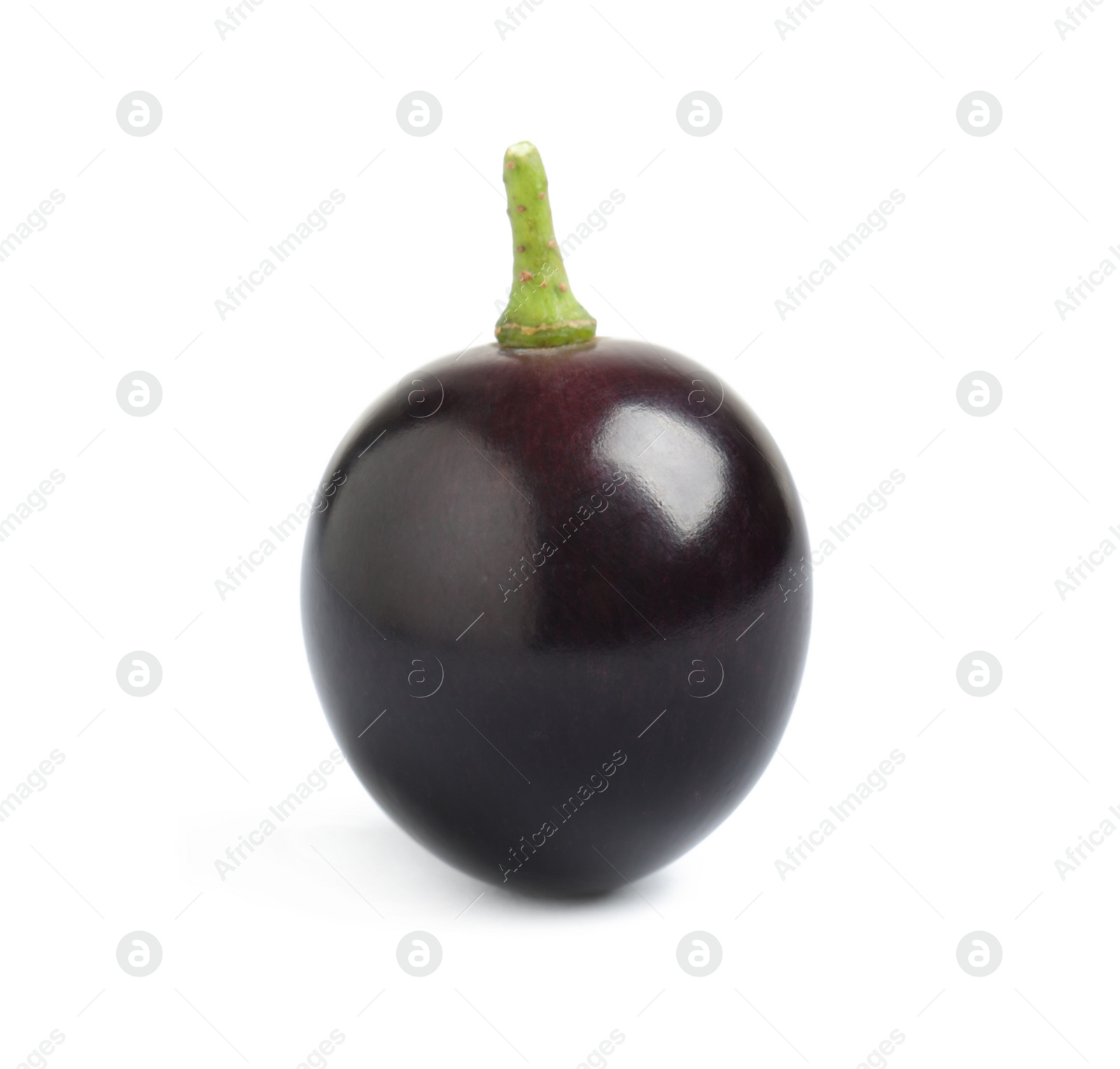 Photo of Delicious ripe dark blue grape isolated on white