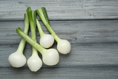 Photo of Whole green spring onions on grey wooden table, flat lay. Space for text