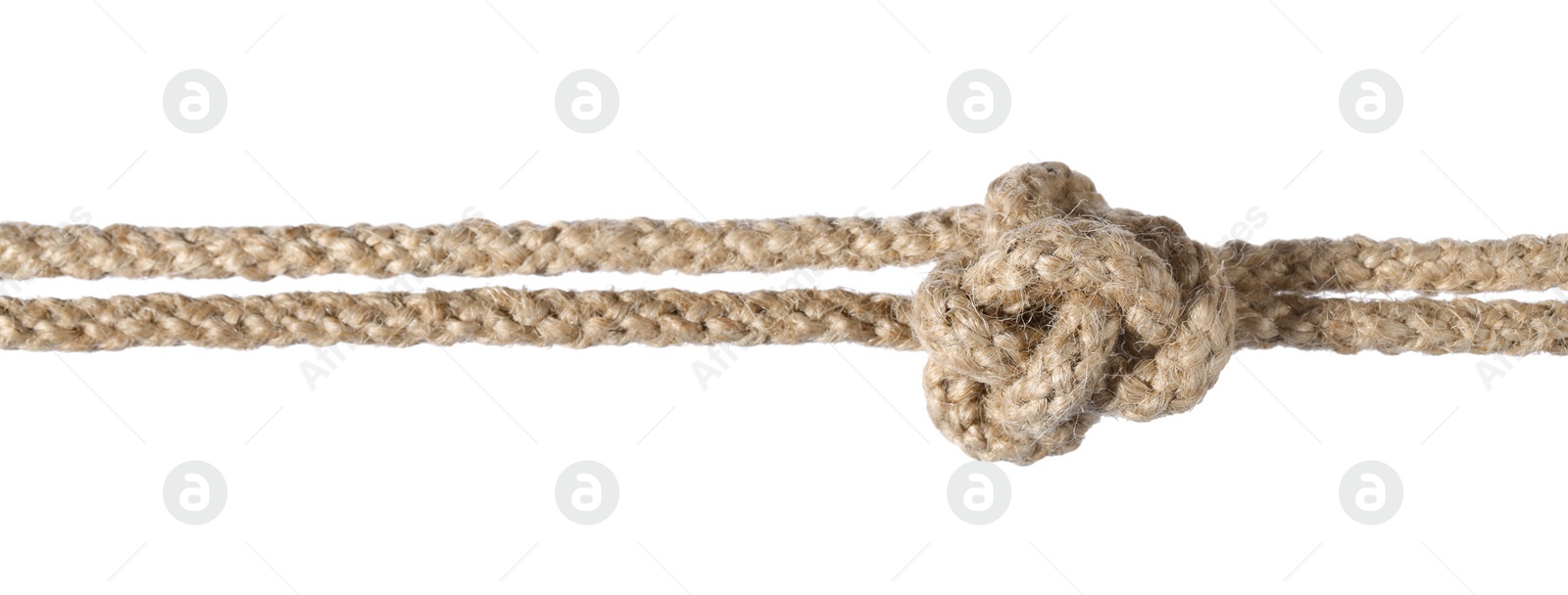 Photo of Hemp ropes with knot isolated on white