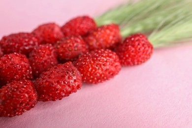 Photo of Grass stems with wild strawberries on pink table, closeup